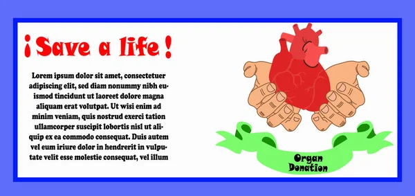 Illustrazione Donazione Organi Mani Con Cuore Umano Con Testo Salva — Vettoriale Stock