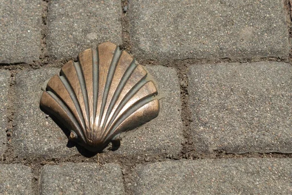 Seyyahın deniz tarağı Camino de Santiago 'nun bir işareti olarak bir yaz günü Burgos, Kastilya, İspanya' da bir yürüyüşte