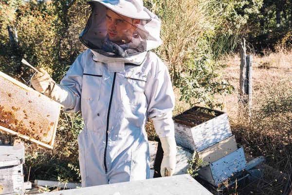 若い養蜂家が畑の真ん中においしい蜂蜜でいっぱいのハニカムを持っています — ストック写真