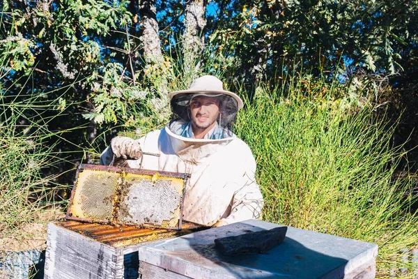 ミツバチが冬の間ミツバチを閉じ保護する方法を見ることができるハニカムを示す若い養蜂家 — ストック写真