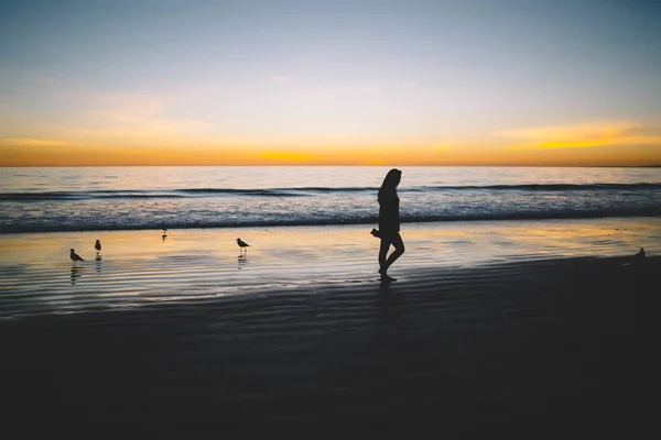 Silhueta Feminina Pessoa Solitária Andando Costa Mar Arenoso Sozinho Sentindo — Fotografia de Stock