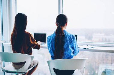 Arkadan görünüşü kadın çalışanların bilgi web sayfalarında, yetenekli arkadaşları birlikte office uygulama tasarımı Netbook için kullanarak coworking oturan arama dizüstü bilgisayarlar üzerinde çalışıyor