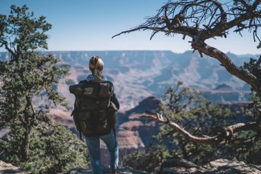 Vahşi doğa Milli Parkı, trekking için yön bakarak Büyük Kanyon ortamda macera yolculuk sahip kadın Gezgin'da Amerika yürüyüş keşfetmek sırt çantası ile genç kadın arkadan görünüm