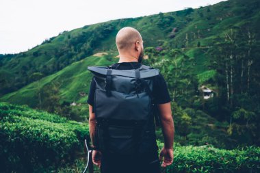 Back view of male explower with travel backpack enjoying natural environment of green tea plantation during trip in rainforest.Tourist with rucksack standing in asia wild valley during treck clipart