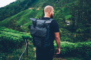 Back view of bearded male traveller with black backpack exploring natural landscapes with tea plantation during summer trip in mountains.Tourist with rucksack enjoying beauty of green rainforest clipart