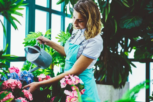 Florista Feminino Profissional Cuidando Flores Florescendo Estufa Satisfeito Com Ocupação — Fotografia de Stock