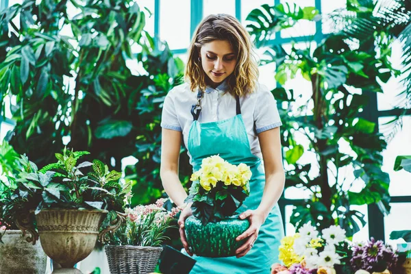 Jovem Florista Feminina Especializada Panela Avental Segurando Com Flor Verificando — Fotografia de Stock