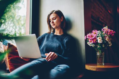 Casual giyimli genç kadın rahat coworking çiçekli masa yakınındaki pencere üzerinde oturan hızlı 4 g internet bağlantısı üzerinden dizüstü bilgisayarda uygulama yüklemek için yazılım güncelleme