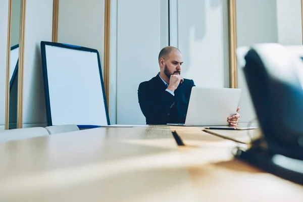 Koncentrerad Smart Stolt Läsning Redovisning Rapporter Online Databasen Bärbar Dator — Stockfoto