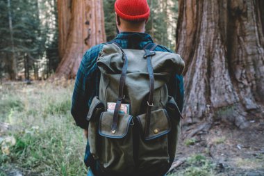 Yürüyüş parkurları orman Sequoia national park, hipster adam yolculuk tutkusu redwood doğal ortamının hafta sonu yolculuk sırasında Americ için keşfetmek turistik sırt çantası ile erkek Gezgin görünümünü geri