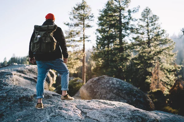 男性旅行者与背包站在岩石上享受美丽的自然风光与高树度假积极 家伙流浪周末有徒步旅行在全国水准 — 图库照片