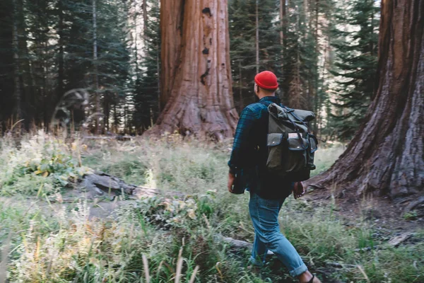 Jovem Vagueando Trilhas Sequoia Caminhadas Ambiente Selvagem Com Mochila Turística — Fotografia de Stock