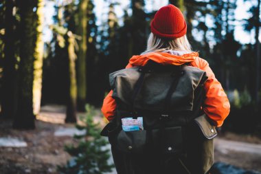 Renkli turuncu ceket Tur orman, turistik sırt çantası ve sırt çantası ile kız yolculuk tutkusu hiking sırasında yeniden içinde kadın gezgin arkadan görünüm keşfetmek ahşap vahşi çevre üzerinde etkin res