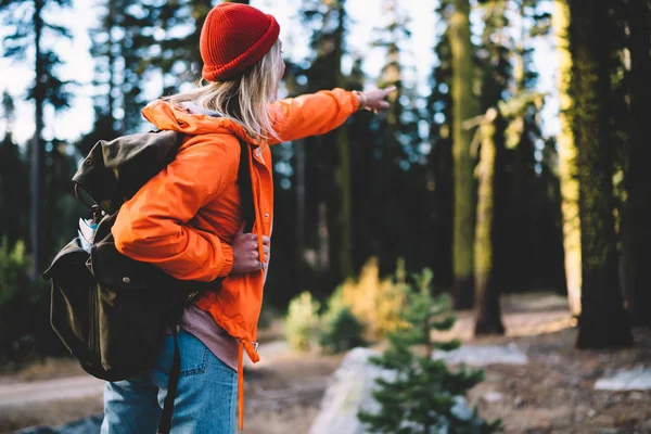女性旅行者的后面看法在橙色夹克指向在森林环境中徒步旅行的路线 女孩流浪与背包显示在木足迹在周末活跃休息期间探索狂放的自然 — 图库照片