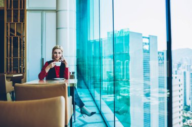 Kahve molası, kadın yönetici cep telefonu aramaları çalışma planları kafede tartışmak için tarifeler hakkında mutlu müreffeh konuşma telefonda konuşurken neşeli işkadını portresi memnun