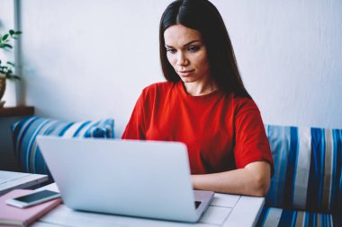 Uzak iş web sayfaları kafe, yetenekli genç öğrenci eğitim webinar online derslerde öğrenme izlerken laptop ile çalışma hakkında bilgi arıyor konsantre dalgın kadın serbest meslek