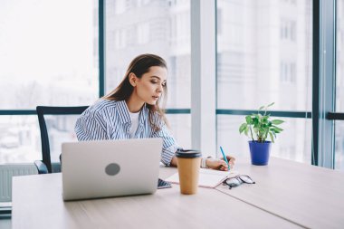 Yetenekli kadın blogger notlar not defteri alanı, okul sırası vasıl iş üzerinde oturan makale için fikirler yazma yaratıcı kadın coworking içinde dizüstü bilgisayar kullanan serbest çalışma yayın yapma