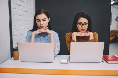 Kız öğrenci eğitim öğrenme dil yolu ile dizüstü bilgisayarlar, netbooks contemplatively okundu bilgileri sınavlarına hazırlamak düşünceli antisosyal hipster kızlar online ders izlerken konsantre
