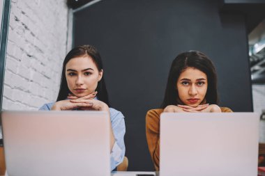 Dizüstü bilgisayarlar öğrenme konusunda eğitim, araştırma birlikte vakit netbooks kameraya bakmak akıllı hipster kızlar konsantre Üniversitesi'nde oturan kız öğrenci portresi 