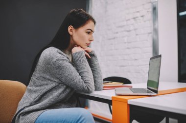Genç güzel kız öğrenci dikkatle izlerken eğitim webinar üstünde laptop, yetenekli hippi kız çalışması sırasında ağ üzerinden bilgi analiz web sitesinde şık kıyafet giymiş konsantre