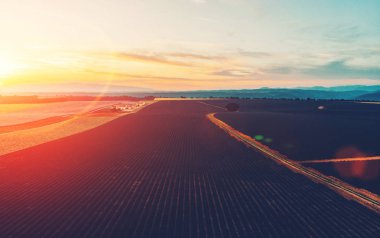 Fransa 'nın güneydoğusundaki ünlü Provence bölgesindeki büyük lavanta tarlalarının hava manzarası. Kuş bakışı lavanta ekimi altın gün batımında görülür.