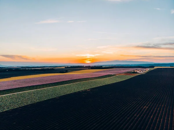 南東フランスの有名なプロヴァンス地方で大きなラベンダー畑の空撮 鳥瞰図花小麦栽培とフィールドのカラフルな線の土地します — ストック写真