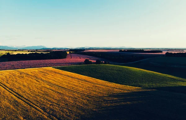 Vista Panorámica Aérea Del Hermoso Valle Montañoso Con Campo Trigo —  Fotos de Stock