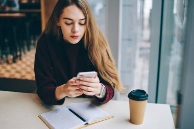 Çekici ciddi kadın blogger için yeni yayın oluşturma Üniversitesi kafeterya, güzel hippi kız arama numarasına zaman harcama iken cep telefonunuzu kullanarak kendi web sitesi için yeni insanlar teşvik