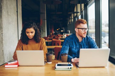 Profesyonel çok ırklı meslektaşları birlikte office coworking oturan uzak işlerini netbooks, kadın ve erkek öğrencilerin dizüstü bilgisayarlarda eğitim web sitesi tarama sınavları için hazırlık konsantre