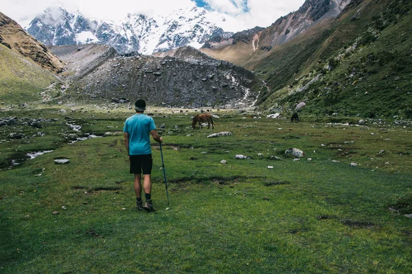 Arkadan Görünüşü Güzel Salkantay Dağlarda Vahşi Doğa Hayran Elinde Sopayla — Stok fotoğraf