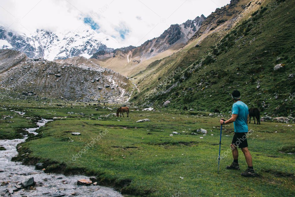 Rear view of professional tourist dressed in active wear holding trekking stick in hands and admiring natural environment with high mountains and horses.Hiker enjoying wanderlust in Salkantay