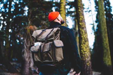 Aktif giyinmiş erkek gezginlerin arka planı yukarı bakıyor ve dağlardaki yeşil ormanın vahşiliğine hayranlık duyuyor, turistlerin doğa ortamında gezinme arzusundan keyif almalarını sağlıyor.