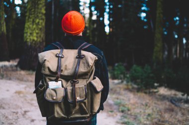 Aktif giyinmiş genç bir adamın, yürüyüş sırasında eğlendiği arka manzara. Sırt çantalı erkek turist vahşi doğayı keşfediyor ve yeşil ormandaki güzel ve yüksek ağaçlara hayran kalıyor.