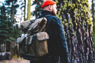 Ormanda dev bir ağacın yanında yürüyüş turunda vahşi doğayı keşfederken, genç bir erkek gezginin vahşi doğaya yolculuk sırasında milli parkı keşfetmek için zaman harcadığına dair bir bakış açısı.