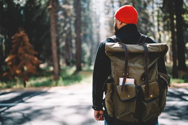 为了保持健康的生活方式 周末带着背包在国家公园里徒步旅行的男性探险家的背景图 — 图库照片