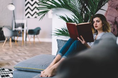 Düşünceli genç kadın rahat bir kanepede uzanıp kitap okuyor ve evde boş vakitlerin tadını çıkarıyor. Konsantre hipster kız, sınav kitaplarından ders kitaplarına hazırlanırken bilgi öğreniyor.
