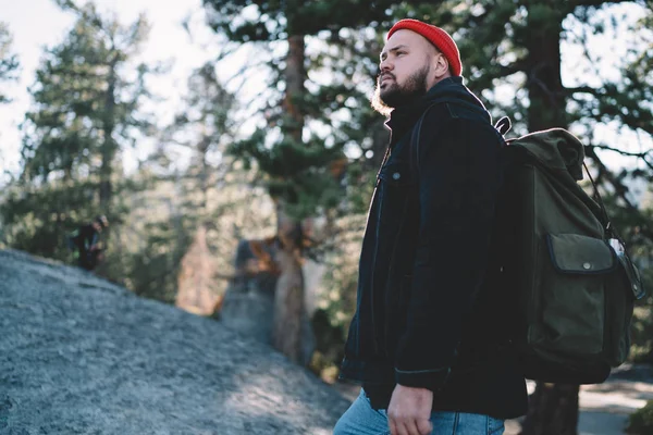 Ciddi bir erkek yürüyüşçü ormanda durup etrafa bakıyor ve turistik sırt çantasıyla geziyor. Ulusal parkta yaz tatillerini aktif olarak turnede geçiren doğa güzelliğine hayranlık duyuyor.