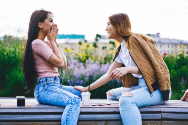 Neşeli hippi kızlar parkta boş zamanlarında birlikte eğleniyorlar. Genç kadınlar arkadaşına komik bir hikaye anlatıyorlar. Muhabbet sırasında gülüyorlar ve kaygısız hissediyorlar.