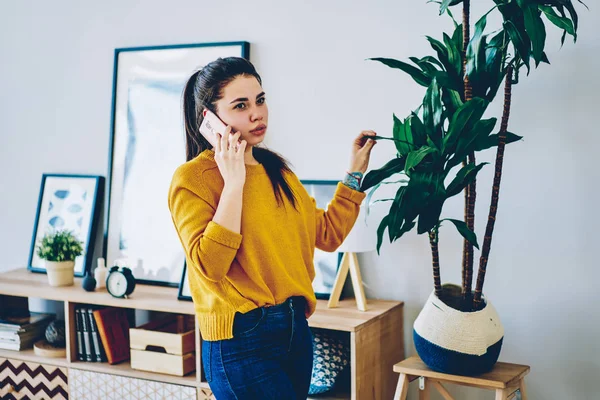 Serious caucasian woman calling to customer support for ask questions while standing near furniture and plant at stylish home interior, hipster girl having mobile phone conversation at apartmen