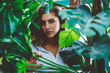 Kendine güvenen kadın botanikçinin yakın portresi. Konservatuarda çalışırken önünde bulanık yeşil yapraklar olan kameraya bakıyor. Piercing görünümlü çekici bir kadın.