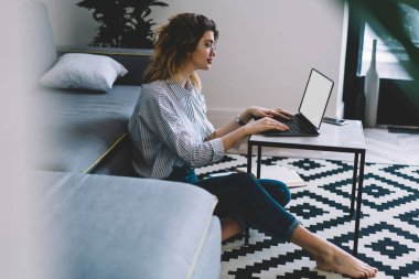 İnternet sitesinde ders çalışması için bilgi aramak için dizüstü bilgisayarında yazı yazan beyaz kadın, Netbook 'ta boş ekran ile uzaktan çalışan hipster kız.