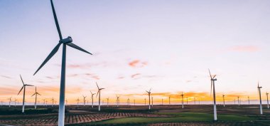 Kuşlar rüzgar enerjisinden yeşil enerji kaynakları üreten yel değirmenleri istasyonunu tarımın engin alanlarında görüyorlar. Çayırlarda dönen türbinlerle alternatif elektrik üretimi