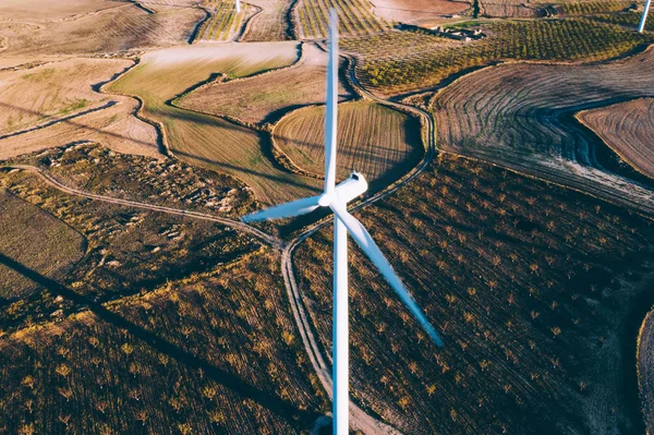 Воздушный Живописный Вид Возобновляемых Ветряных Мельниц Снабжающих Посевную Площадь Экологической — стоковое фото