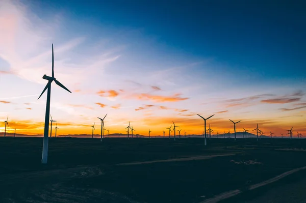 青い夕日の空に対する農村の農業環境のエコ資源から代替クリーングリーン電力を生成するプロペラを持つ風車ステーションのシルエット 電気を生産するタービンの農場 — ストック写真