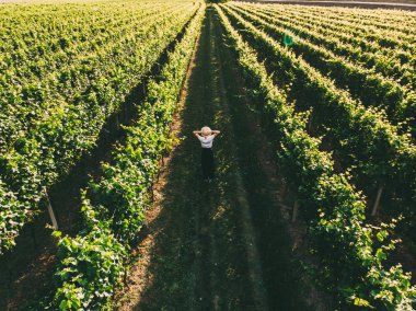 Şapkalı kadının havadan görünümü, güzel gün batımı ışığında büyük bağ tarlasında duruyor. Toskana 'nın agri Turizm turu. Kadın turist ziyaret bağ sitesi seyahat zevk. Şarap üretim bölgesi