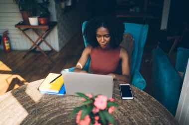 WiFi internet bağlantısı, konsantre kadın gazeteci kullanarak modern dizüstü bilgisayar üzerinde metin uygulaması için sonraki en iyi satıcı için ilginç fikirler yazarak yetenekli Afrikalı Amerikan hipster yazar