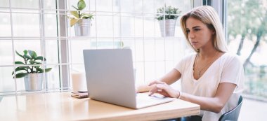 Web makalesi, modern netbook üzerinde tarama internet sırasında sosyal ağda ciddi kadın okuma haber için Download medya dosyası iken sarışın kadın Freelancer dizüstü bilgisayarda yazılım güncelleme