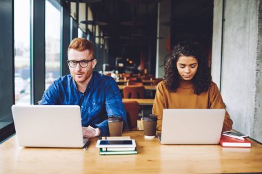 Kamera bakarak ciddi hipster adam portre uzak iş birliktelik sırasında Web sitesi için program kodu yazarak yakın kadın meslektaşım, insan ve kadın proje için bilgi arama ekibi