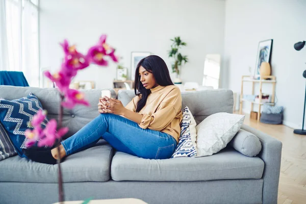 Afrikalı Amerikalı kadın blogcu, sosyal ağdaki içeriği cep telefonuyla paylaşıyor. Ev içinde oturuyor, koyu tenli bin yıllık kadın kanepede dinleniyor ve wifi 'ye bağlı akıllı telefondan sohbet ediyor.