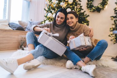 Rahat bayanlar bayramı kutlarken ve hediyeleri açarken ahşap pencere pervazında yastıklarla süslenmiş kozalaklı ağaçların altında dinleniyorlar.